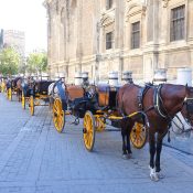 Carriages_in_Seville,_Spain_-_DSC07651